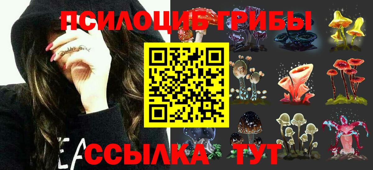 Полысаево  Псилоцибиновые грибы Psilocybine cubensis  закладка  Псилоцибиновые грибы мицелий  Вход с VPN 